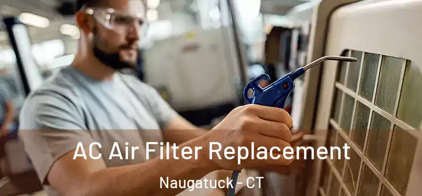  AC Air Filter Replacement Naugatuck - CT