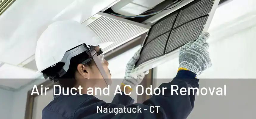  Air Duct and AC Odor Removal Naugatuck - CT