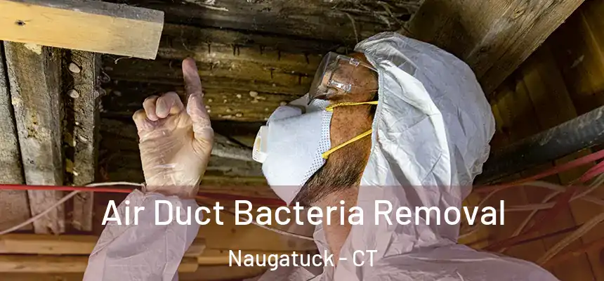 Air Duct Bacteria Removal Naugatuck - CT