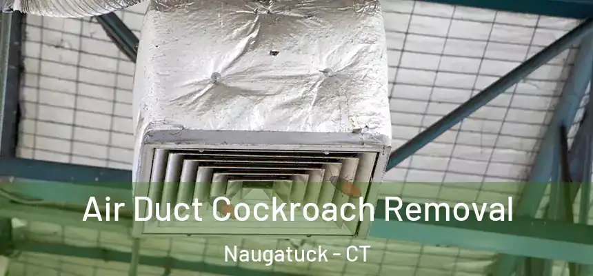  Air Duct Cockroach Removal Naugatuck - CT