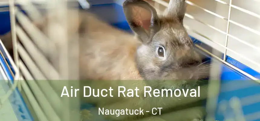 Air Duct Rat Removal Naugatuck - CT