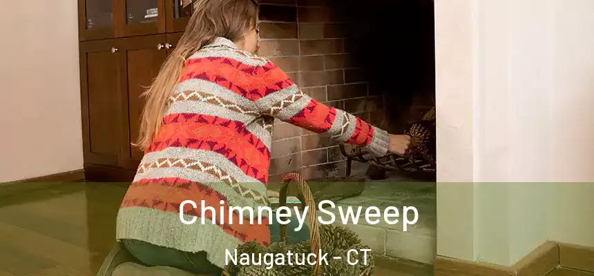  Chimney Sweep Naugatuck - CT