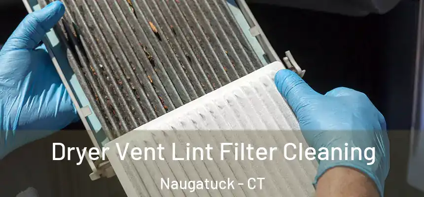 Dryer Vent Lint Filter Cleaning Naugatuck - CT