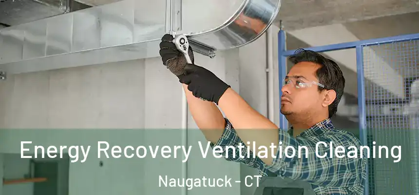  Energy Recovery Ventilation Cleaning Naugatuck - CT