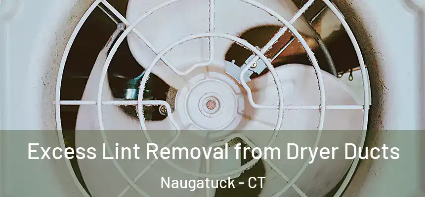  Excess Lint Removal from Dryer Ducts Naugatuck - CT