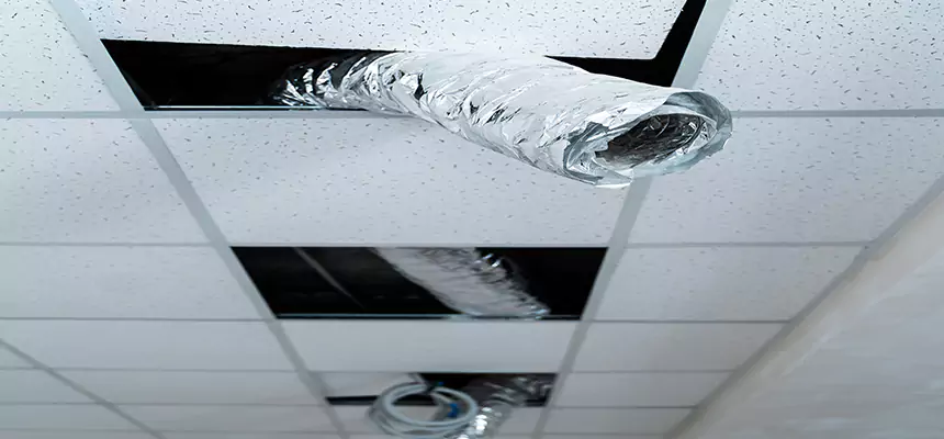 Affordable HVAC Sanitizing After Pest Removal in Naugatuck