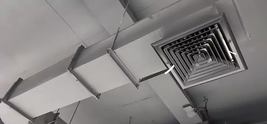 Our Pest Removal From Ducts Services in Naugatuck, CT