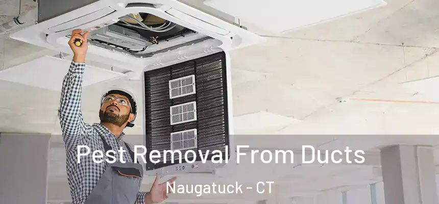 Pest Removal From Ducts Naugatuck - CT