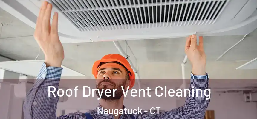 Roof Dryer Vent Cleaning Naugatuck - CT