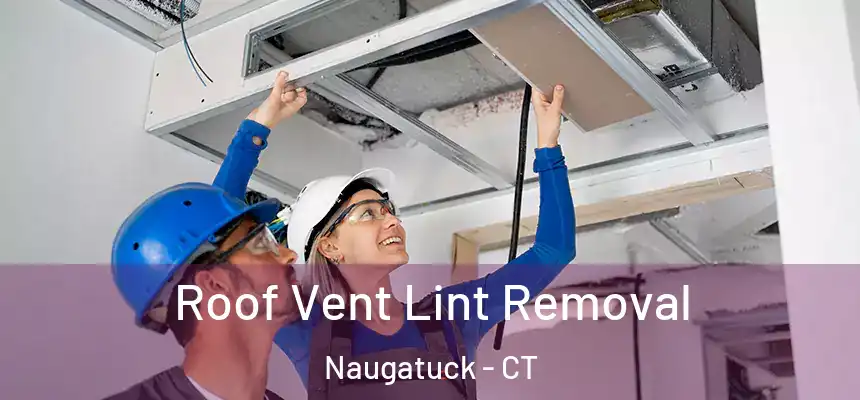 Roof Vent Lint Removal Naugatuck - CT