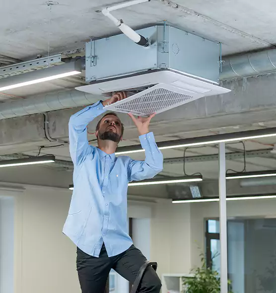 Advanced Rodent Droppings In Vents in Naugatuck, CT