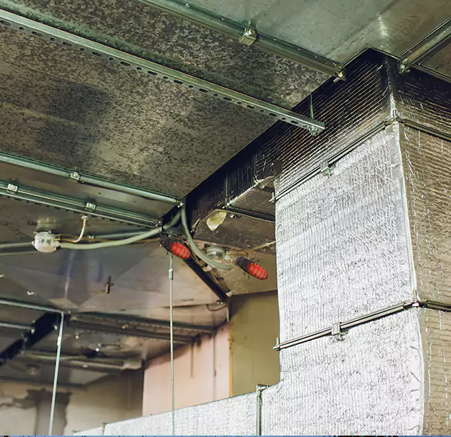 Why Homeowners & Businesses Trust Us in Naugatuck, CT?