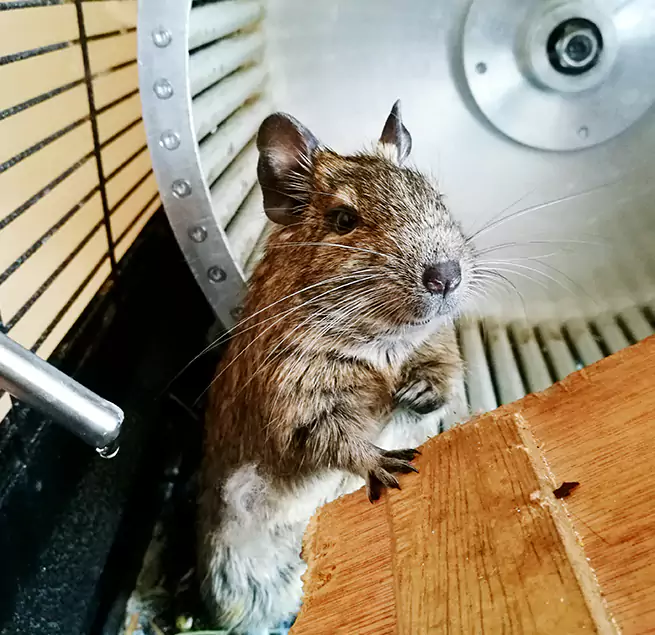 Why Homeowners & Businesses Trust Us Naugatuck, CT